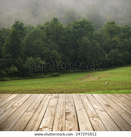 Wood terrace and perspective view on forest and meadow in fog