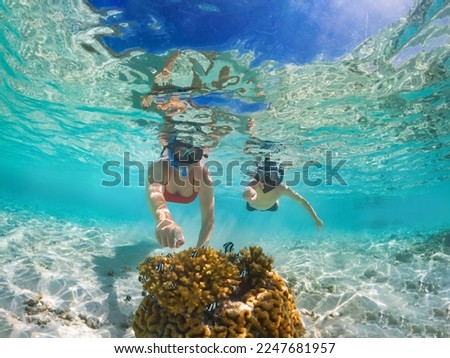 Similar – Image, Stock Photo Mother and son diving on a swimming pool