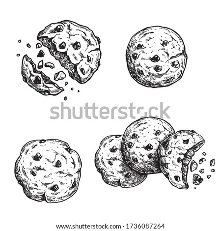 Hand drawn sketch style chocolate chip cookies set. Single whole and crumbled in group. Vintage retro ink style vector illustrations. For packages and menus. Isolated on white background.