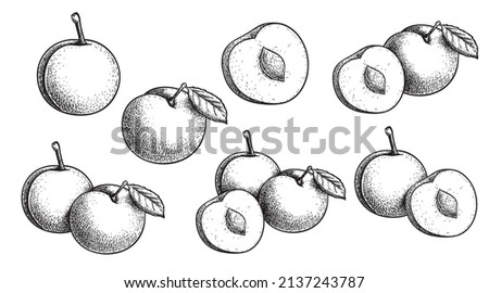 Similar – Image, Stock Photo mirabelle plums Food Fruit