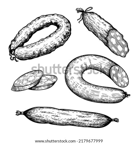 Hand drawn sketch style set of various sausages, salami. Butcher shop elements collection for menu , package designs. Vector illustration.