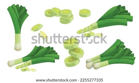 Leek set. Whole and chopped vegetables. Farm fresh  veggies collection. Vector illustrations.