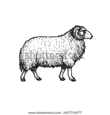 Ram Animal Clipart | Free download on ClipArtMag