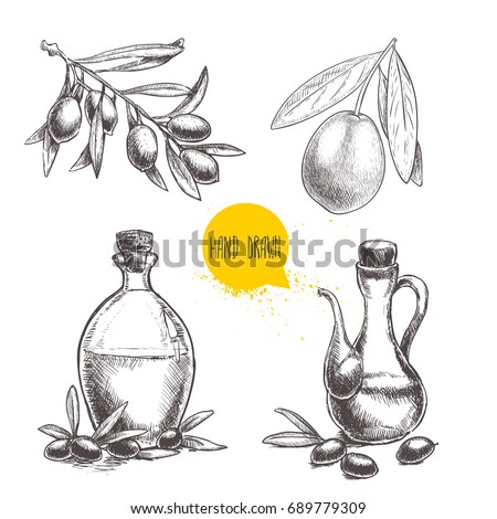 Olives fruit, branch, tree and olive oil bottle sketches set. Hand drawn vector illustrations isolated on white background. 