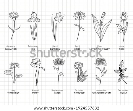 Birth month flowers simple design bundle. Minimal summer spring decoration. Silhouette vector flat illustration. Cutting file. Suitable for cutting software. Cricut, Silhouette