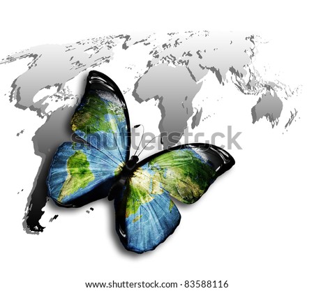 butterfly with a world map on the wings against the gray map