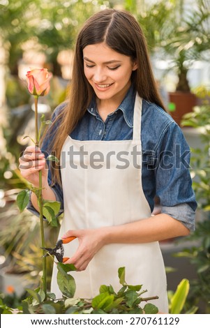 Portrait of young female florist  pruning rose in flowers shop.