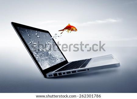 Goldfish jump out of the monitor at ocean