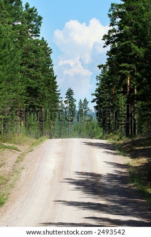 way in europe forest