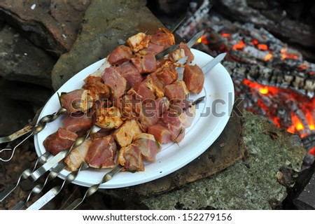 Raw pork meet at skewers ready for making bbq at campground