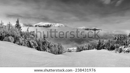 Snowy slope in the mountains , artistic black and white version
