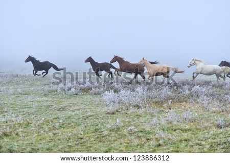 Similar – Image, Stock Photo Winter Run Silhouette Fog