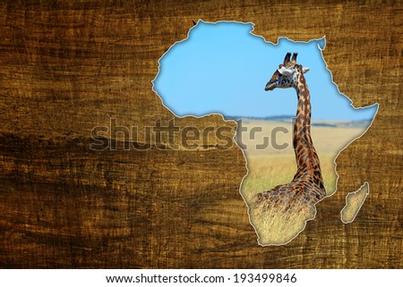 Vintage Africa Wildlife Map Design on papyrus with giraffe