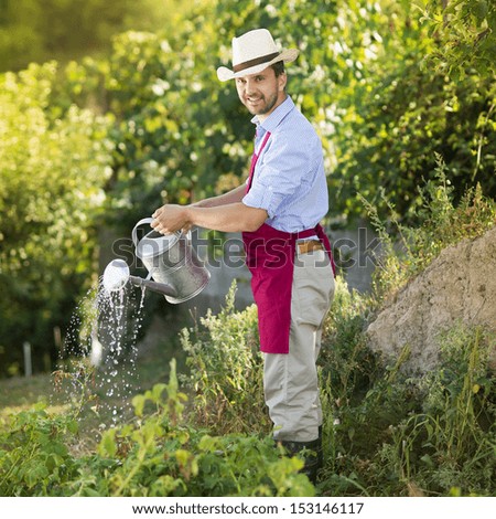 Young male gardener is watering plants in garden