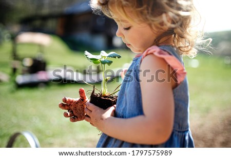 Small girl with dirty hands outdoors in garden, sustainable lifestyle concept.