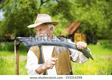 Old farmer with beard sharpening his scythe before using to mow the grass traditionally