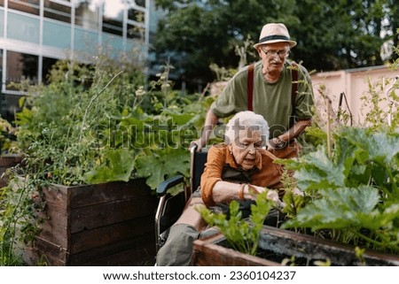 Similar – Image, Stock Photo Portrait of an elderly woman  at home