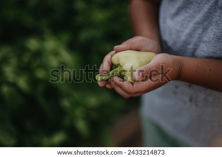 Similar – Image, Stock Photo Child holding green pepper