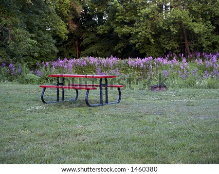 Wooded campsite with picnic table, fire ring, and wildflowers in the background.