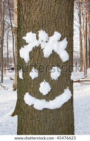 Snow face on a tree