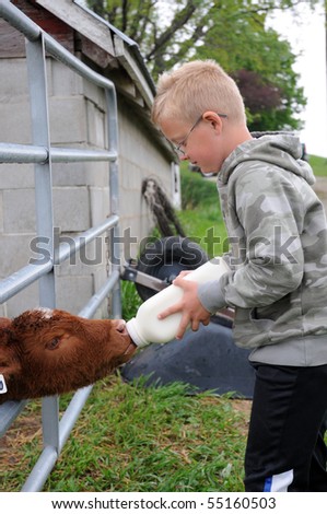 Boy Bottle Feeds Calf on Farm