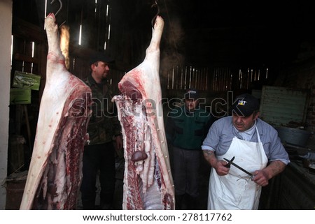 TURNOV, CZECH REPUBLIC - MARCH 5, 2011: Butcher cuts up a pig during the traditional Shrovetide public pig slaughter called zabijacka in Vsen near Turnov, Czech Republic.