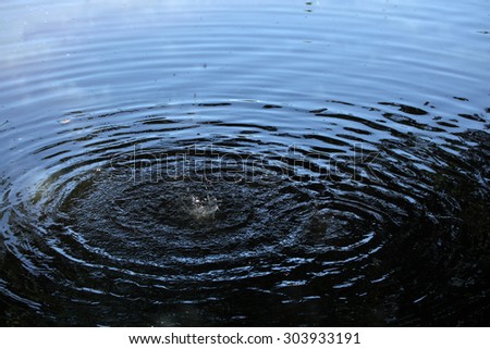 Capillary waves produced by two droplets in water surface.