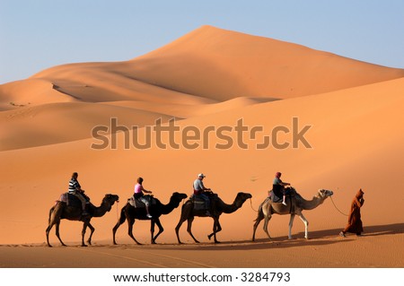 http://image.shutterstock.com/display_pic_with_logo/55977/55977,1179011642,1/stock-photo-camel-caravan-going-through-the-sand-dunes-in-the-sahara-desert-morocco-3284793.jpg