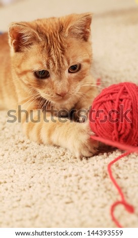 Little cat playing with wool on the carpet.