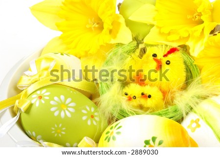 Chicken and chicks in a nest with eggs and daffodils