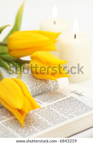 Open bible with tulips and candles