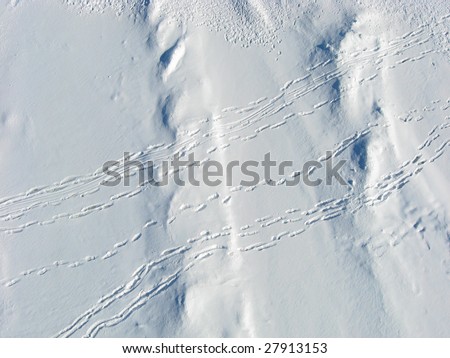 Overhead shot of snow drifts and people tracks on Dow\'s Lake, Ottawa.  Kite Aerial Photography.
