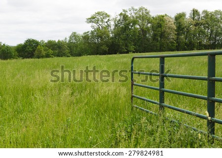 Open gate leading into a grass field