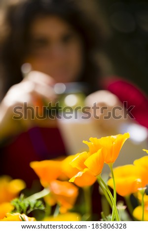studying and taking pictures of flowers, California poppy