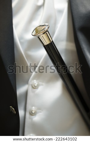 Man wedding dress detail with silver head stick