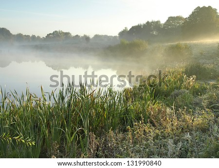 morning foggy lake