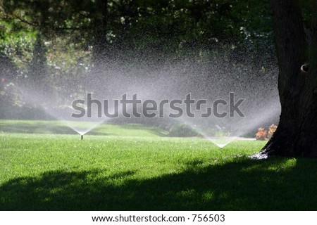 A photograph of a water sprinkler showering flowers during a hot summer July day in Oklahoma City.