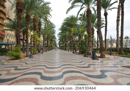 ALICANTE - NOVEMBER 26: Palm alley at Alicante on NOVEMBER 26, 2012 SPAIN. Famous marble pedestrian alley at Alicante rounded with palm trees