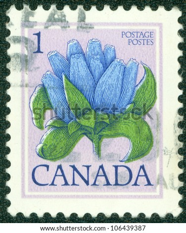 CANADA - CIRCA 1977: A stamp printed in Canada shows flower Bottle Gentian, circa 1977