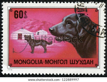 MONGOLIA - CIRCA 1978: A stamp printed in Mongolia shows dog Labrador Retriever, one stamp from series, circa 1978