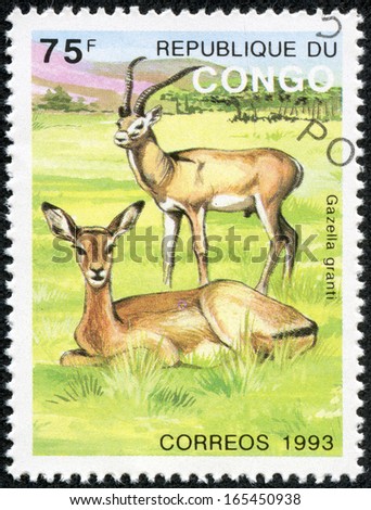 CONGO CIRCA 1993: A stamp printed in Congo, shows gazella granti, from the series \