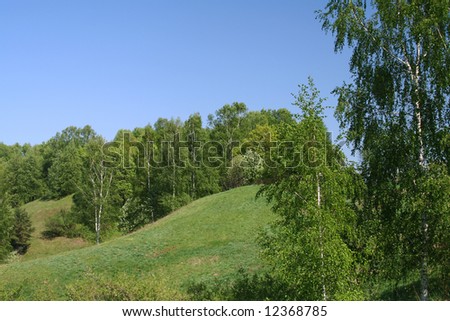 Summer landscape. Photo is taken in Russia.