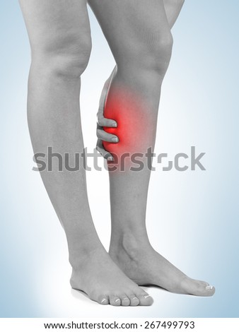 Human Calf pain with an anatomy injury caused by sports accident or arthritis as a skeletal joint problem medical health care concept.