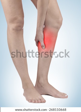 Human Calf pain with an anatomy injury caused by sports accident or arthritis as a skeletal joint problem medical health care concept.