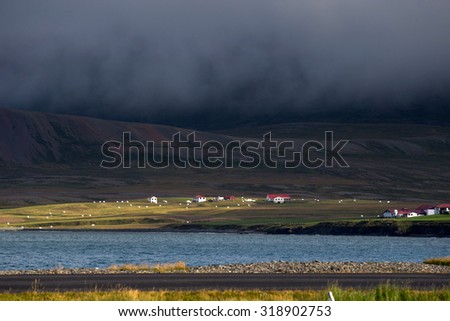 Part of farming village lighted by the afternoon sun in Iceland