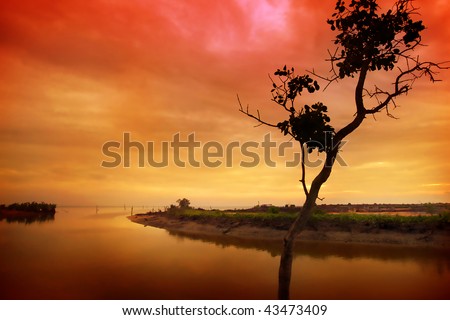 Red and gold sunset at river estuarine