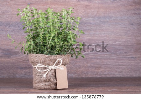 Fresh herbs in bag  on wooden background