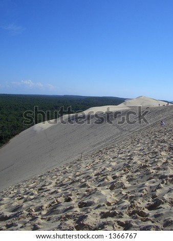 Dune (Dune du Pyla, south west of France) with pine forest - biggest dune in europe