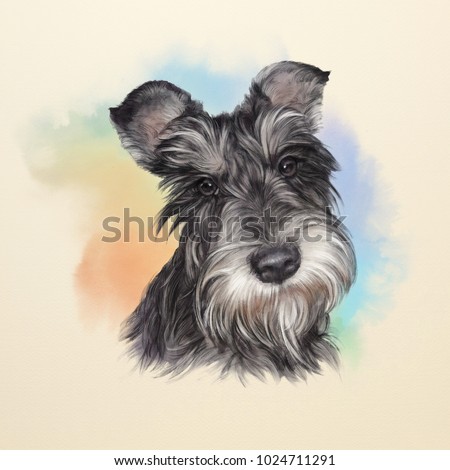 Illustration of the Scottish Terrier. Dog is man's best friend. Animal collection: Dogs. Watercolor Dog Pug Portrait - Hand Painted Illustration of Pets. Art background for design of banner, T-shirt.