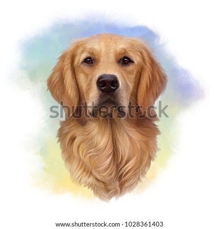 Illustration of a Golden Retriever. Guide dog, a disability assistance dog. Watercolor Animal collection: Dogs. Dog Pug Portrait - Hand Painted Illustration of Pet. Good for banner, T-shirt, card.